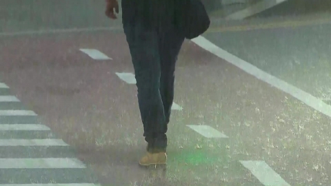  서울 동남권 호우주의보...동북 서북 서남권 호우경보 유지