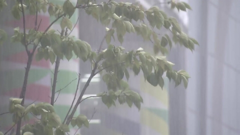  서울·인천·경기북부 호우경보 해제...충남 북부는 호우경보