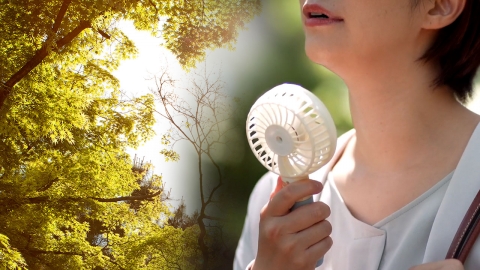폭우 끝나면 다시 찜통더위...입추 비웃을 역대급 폭염 오나 [Y녹취록]