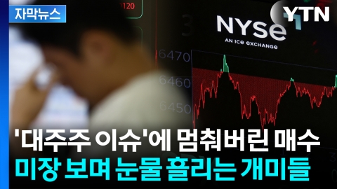 [자막뉴스] '상승률 1위' 파죽지세 코스피 주춤하는 사이...미국·일본은 '천하호령'