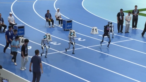 '축구부터 격투기까지' 중국 로봇 운동회…"아직은 답답해도…"