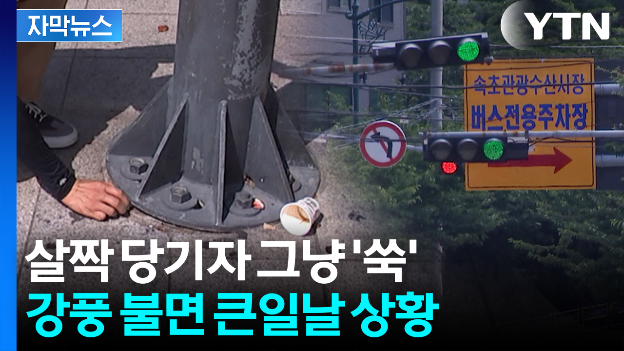 [자막뉴스] 관광객 머리 위로 '위험천만'...속초에서 양양까지 '지뢰밭'