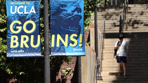 미 올해 유학생비자 6천 건 취소...폭행·음주운전·테러연루 사유