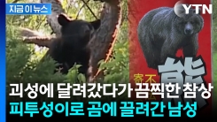 "허벅지 물린 채 피투성이로 끌려갔다" 불곰에 잡혀간 일본인 시신으로 발견 [지금이뉴스]