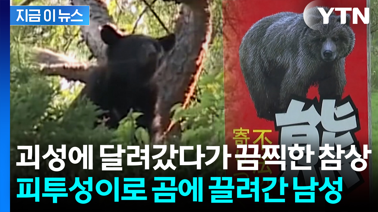 "친구의 허벅지 문채 끌고 갔다" 곰에 잡혀가 시신으로 발견...일본 '초비상' [지금이뉴스]