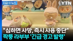 "자칫하단 어린이 질식, 사망까지"... 짝퉁 라부부에 \'긴급 경고 발령\' [지금이뉴스]