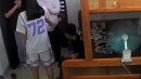 한밤중 자녀들만 있는 집 찾아가 채혈...엇나간 모기와 전쟁