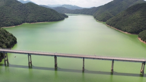 충청 식수원 대청호 녹조…"폭우·폭염 반복 원인"