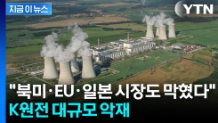 수출길 막힌 K-원전...미국 웨스팅하우스와 \'굴욕적 합의\' 논란 [지금이뉴스] 