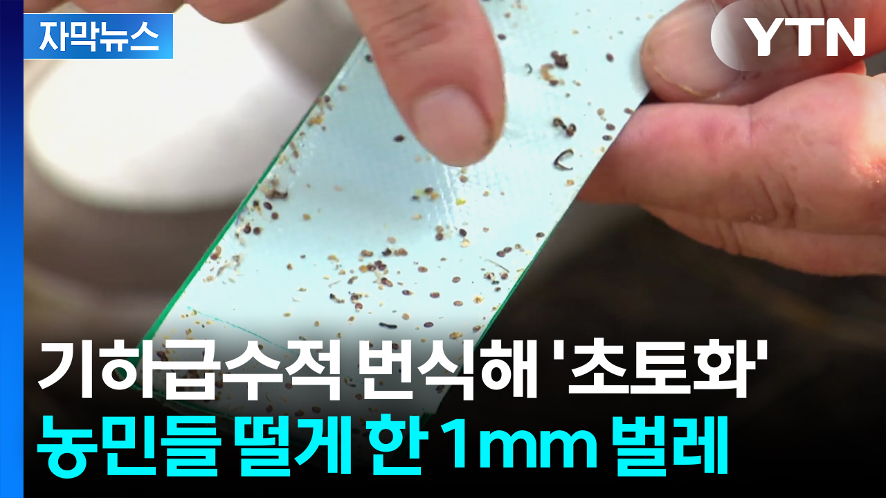 [자막뉴스] 농민들 '피눈물' 끝나나...세계 최초 장치 개발