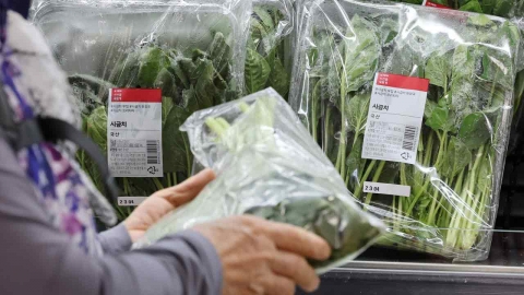 시금치 171%·배추 51%↑...7월 생산자물가 0.4% 상승