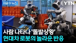 인간이 작업 방해하자 \'세상에\'...현대차 로봇의 놀라운 발전 [지금이뉴스]