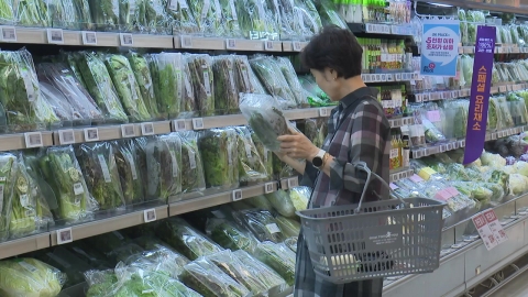 "장 볼 게 없네!"…\'금사과·배추\' 이어 \'금시금치\' 우려