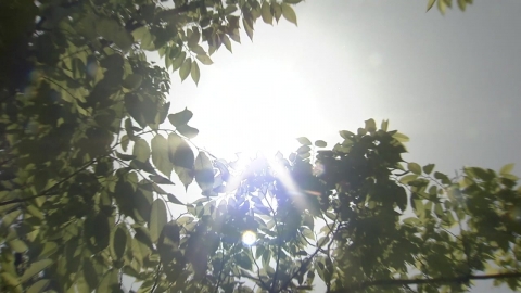  서울 동북·서남권 폭염경보로 강화...수도권 대부분 폭염경보