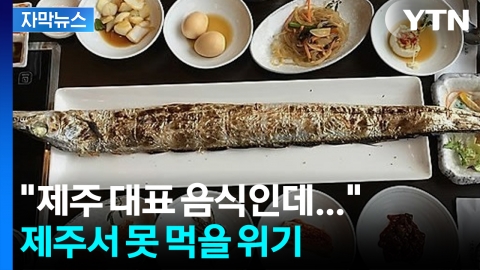 [자막뉴스] 고수온에 갈치 어획량 '반토막'...급변하는 '어장 지도'