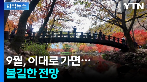 [자막뉴스] "가능성 최고 60%"...기상청의 올해 가을 전망