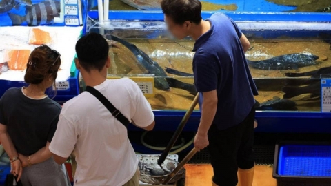광어·우럭 왜 이래?…금값 된 \'국민 횟감\'에 어민·소비자 울상