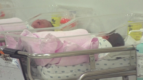  '6월·2분기·상반기' 출생아 증가율 역대 최고