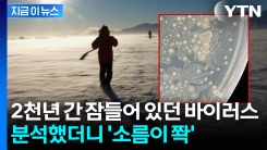 "인체 감염 가능성"...남극 빙하 속에서 깨어난 바이러스 분석했더니 [지금이뉴스]