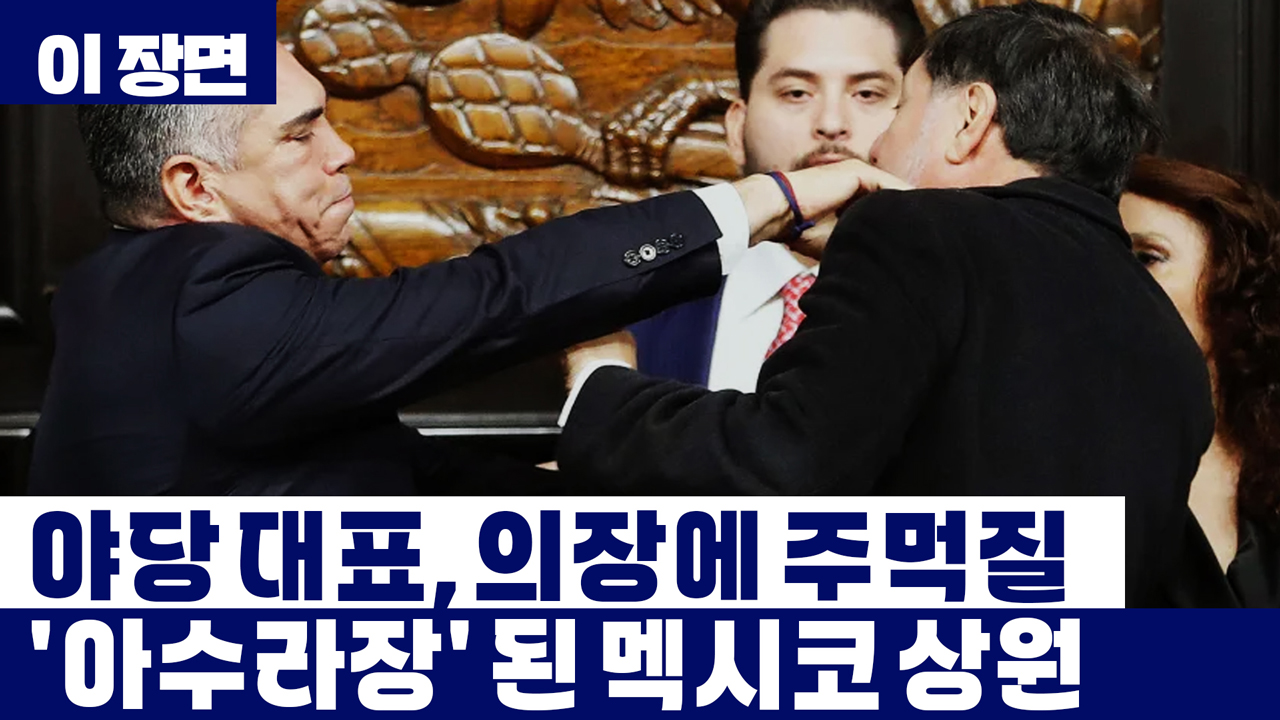 멕시코 상원서 주먹질···야당 대표가 의장 붙잡고 난투극 벌여 [이 장면]