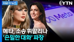 테일러 스위프트의 은밀한 대화?...\'가짜 AI\' 만든 메타 논란 [지금이뉴스] 