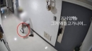 '배달 완료' 알림 왔는데 음식 증발?…배달 기사의 황당 꼼수
