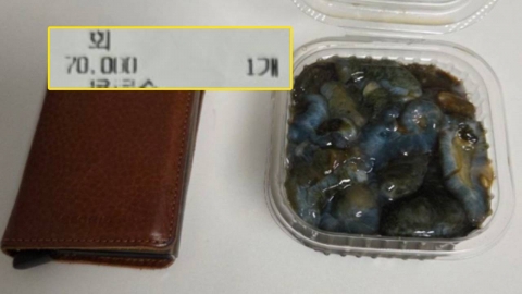 "해삼 몇 점이 7만 원"…부산 자갈치 시장 유명 횟집 논란