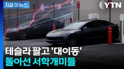 \'테슬람\' 한국인들이 달라졌다...주식 던지더니 자금 대이동 [지금이뉴스] 