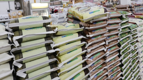 쌀 20㎏ 6만 원 넘어...지난해보다 17% 올라