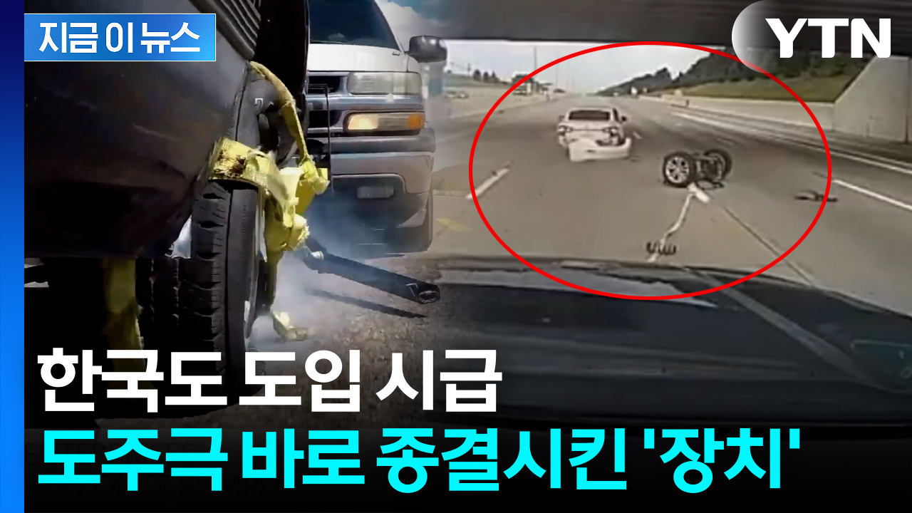 도망치다 폐차 엔딩...도주 차량 바퀴를 순식간에 '포위' [지금이뉴스]