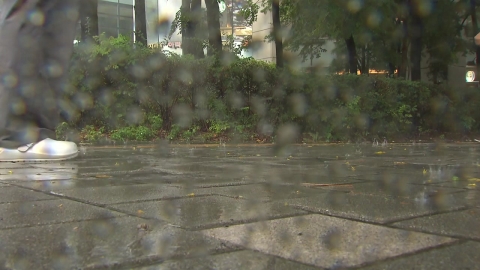 오늘 전국 비, 서울 낮 28℃...남부 폭염특보