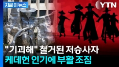 "저승사자냐" 흉물에서 사자보이즈로?...케데헌 덕에 대반전 [지금이뉴스] 