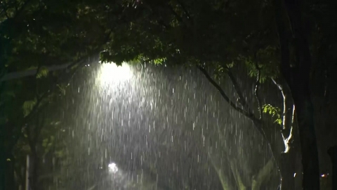  충남 서천에 시간당 100mm '극한 호우'...침수 우려