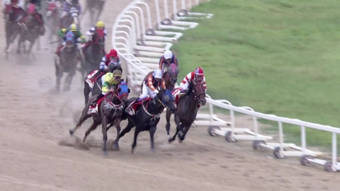 일본 딕테이언, 코리아컵 국제 경주 우승