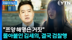쯔양 고백에도 "거짓" 방송하다가...김세의, 검찰 송치 [지금이뉴스] 