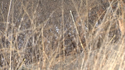  경기 파주 군부대에서 폭발사고..."현재 8명 부상"