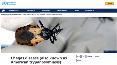 미국 샤가스병 감염 급증...흡혈 빈대 '키싱 버그'가 옮기는 중남미 풍토병