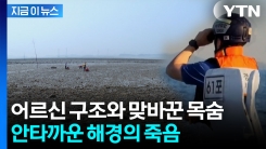 밀물에 휩쓸리기 직전, 해경의 선택...코끝이 찡 [지금이뉴스] 