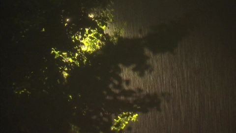  서울 등 전국 10개 시·도...산사태위기경보 '경계' 상향 발령