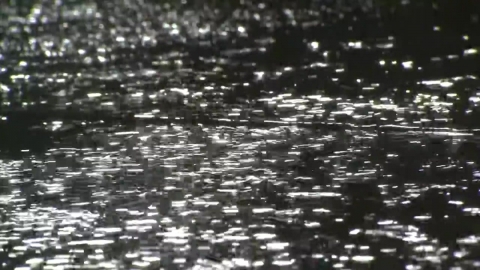  '극한 호우' 충남 당진, 도로 곳곳 침수...하천 홍수주의보