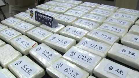 '국내 최대 규모' 코카인 제조하고 도피…국내 송환