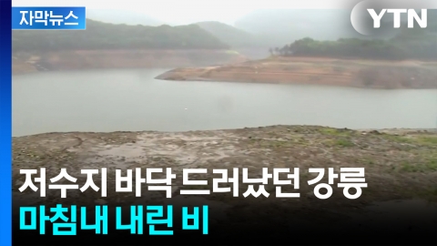 [자막뉴스] 쩍쩍 갈라지던 강릉에 드디어 비...호우주의보까지 발령됬지만 '역부족'