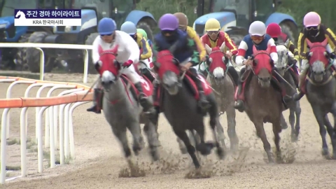 [주간 경마] '14세' 원당봉, 제주 첫 1610m 경주 우승