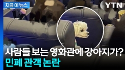 ‘강아지 무릎에 올리고 영화 관람’... 당당한 태도에 누리꾼 ‘당황’ [지금이뉴스]