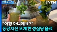 진정한 고수의 등장...성심당 신상 음료 두고 \'술렁\' [지금이뉴스]