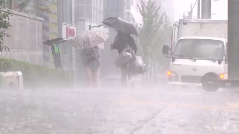  서울 호우주의보...시간당 50mm 안팎 강한 비