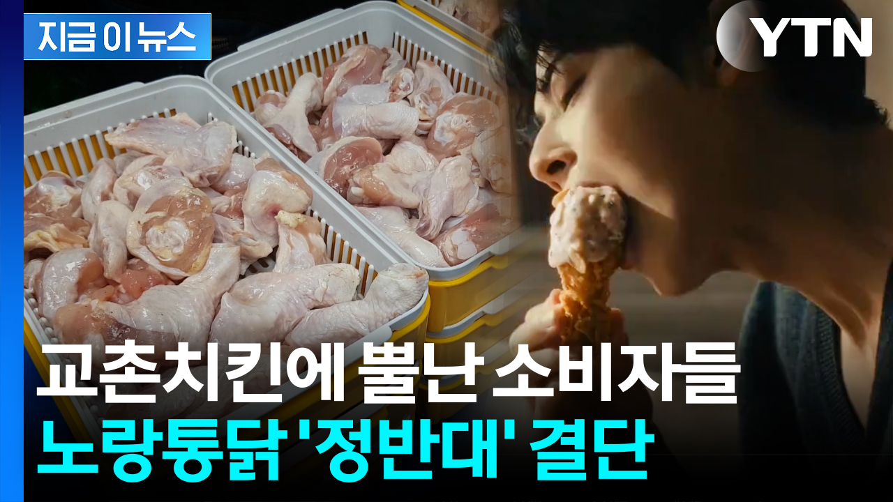 "교촌치킨 꼼수" 싸늘한 여론 속...노랑통닭 '파격 결단' [지금이뉴스] 