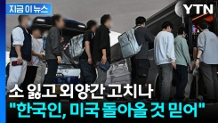 \'한국인 없이는 안 돼\'...무자비 단속서 \'태세 전환\' 복귀 논의 [지금이뉴스]