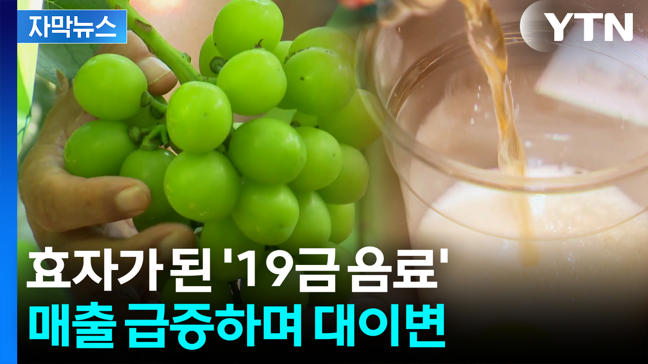 [자막뉴스] 못난이 과일의 전화위복...상태는 B급, 후기는 A급!