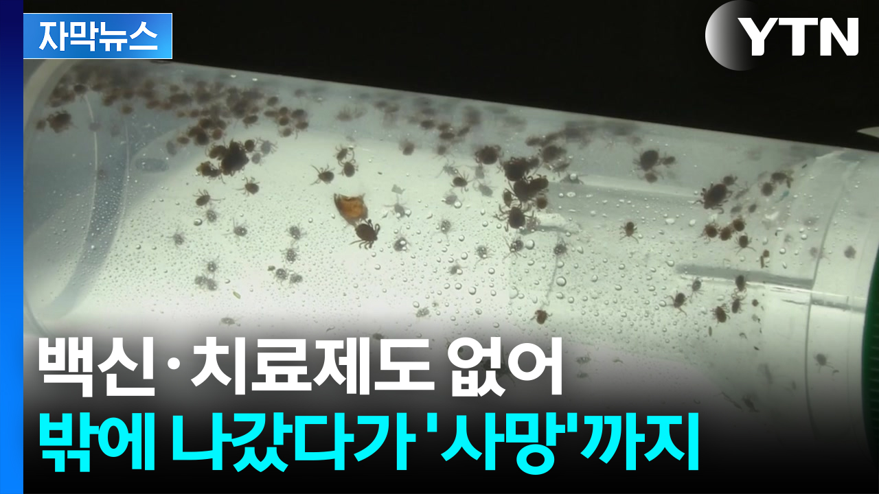 [자막뉴스] 고열·오한·검은 딱지까지...공포의 감염병 주의보